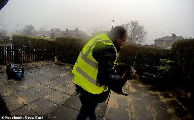 Conductor de Amazon sorprendido robando el gato de la familia mientras suena el timbre mientras hacía la entrega se enfrenta a la cárcel