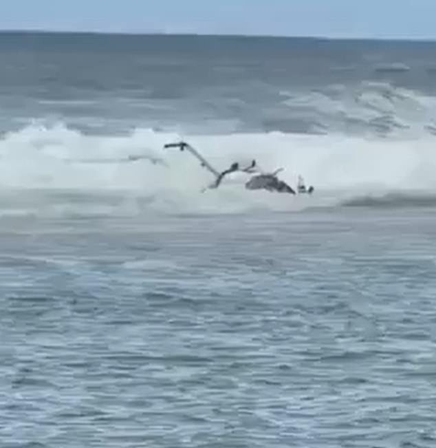 Terror en Hawái: tres personas mueren en un accidente de helicóptero turístico en Paradise Beach