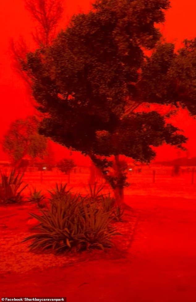 Los australianos atrapados en la trayectoria destructiva del ciclón Narelle evalúan los daños después de que una ciudad entera quedara cubierta de polvo rojo con vientos de 100 km/h.