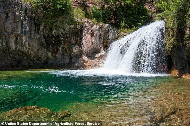 El turista saltó de la cascada y levantó el pulgar tras aterrizar… Momentos después las poderosas masas de agua lo empujaron hacia abajo y lo ahogaron.