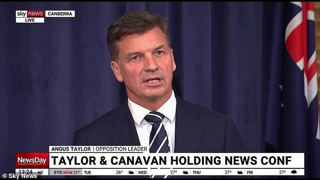 La iniciativa laborista de 600 millones de dólares para conseguir aún MÁS políticos en Australia: “No es lo que necesitamos”