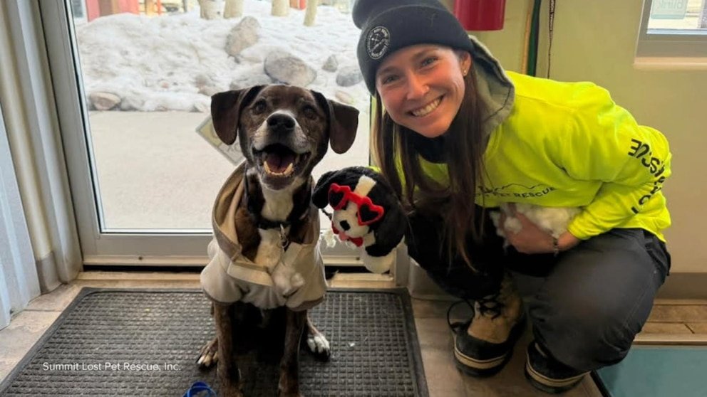 MIRAR: Familia de Colorado le cuenta a David Muir sobre reunirse con el perro desaparecido durante 43 días