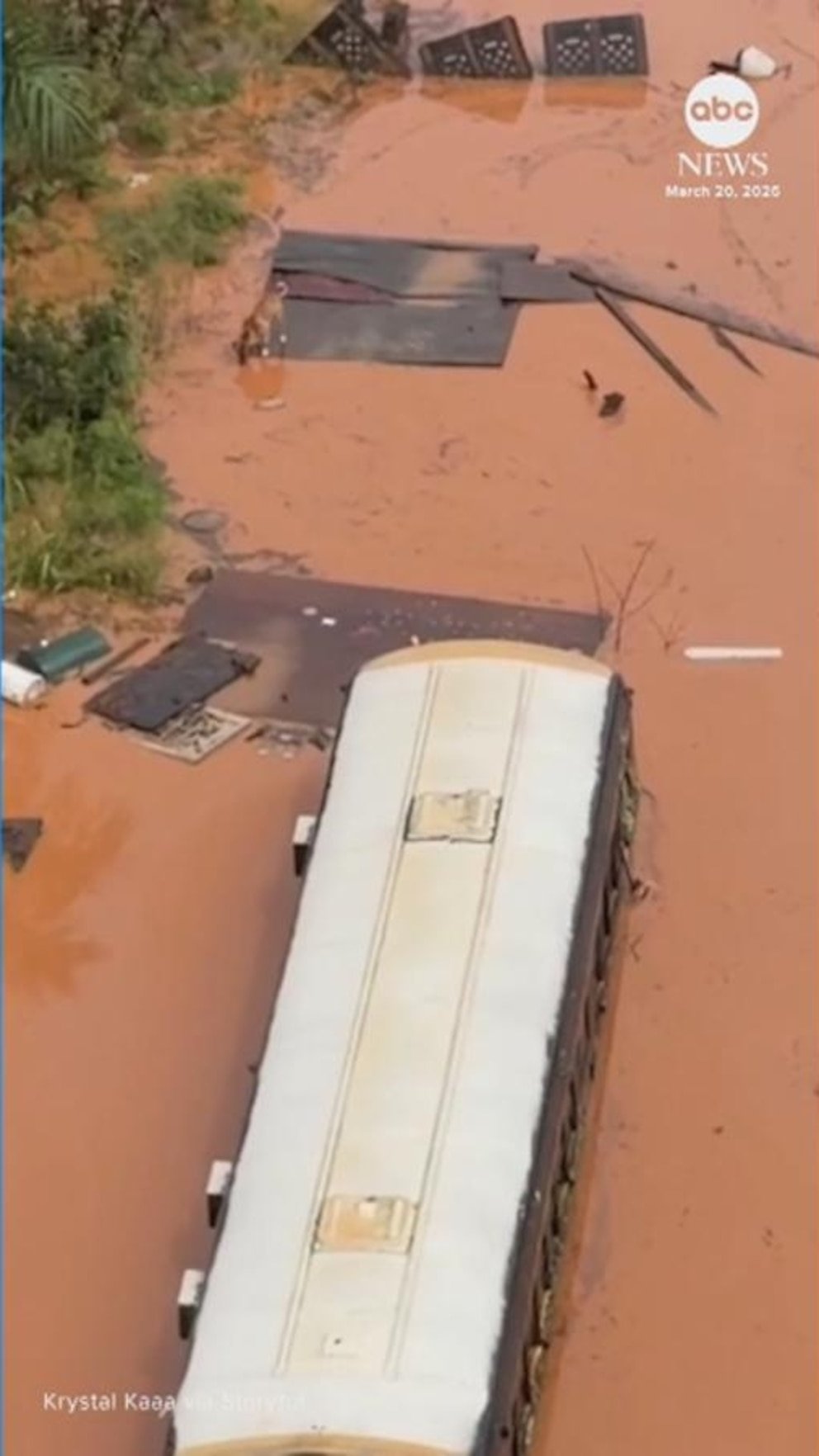 Video Perros rescatados después de quedar varados en inundaciones en Hawai
