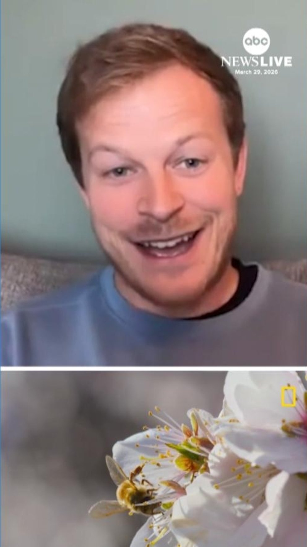 Vídeo: Bertie Gregory de Nat Geo explica cómo ayudar a las abejas: “Plantar flores silvestres”