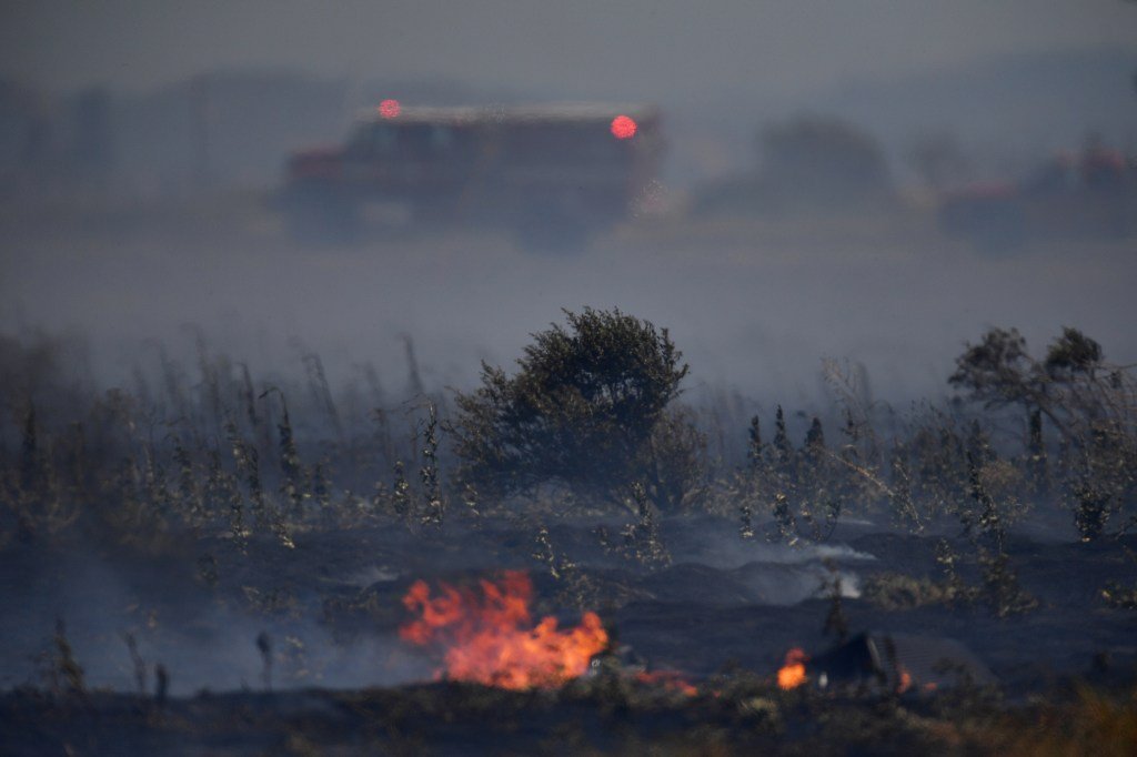 La policía arresta al sospechoso del asesinato de un hombre y arroja el cuerpo cerca del lago Herman
