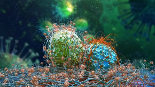 La startup Waiv se separa de Owkin con 33 millones de dólares para permitir la precisión de la IA en las decisiones sobre el cáncer