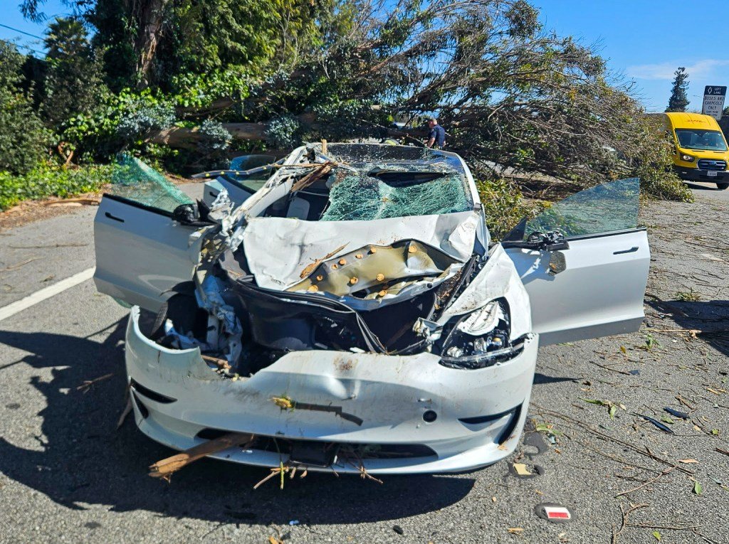 Un árbol cae en la autopista 101 en South Bay y golpea a dos Teslas