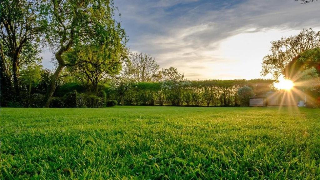 9 repelentes de mosquitos que realmente funcionan – The Mercury News