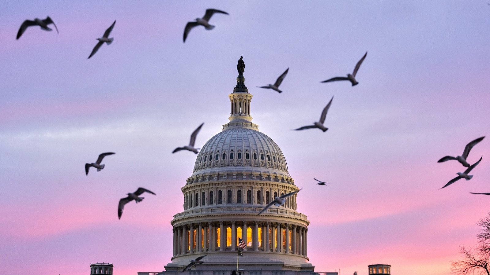 El Senado una vez más no logra avanzar el proyecto de ley de financiación del DHS