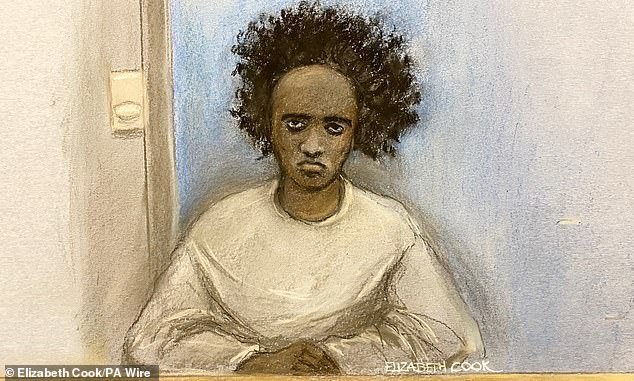 El abogado de la víctima insta a que los padres de un adolescente “sádico” que llevó a cabo la masacre de Southport sean encarcelados por no detener su ola de asesinatos.