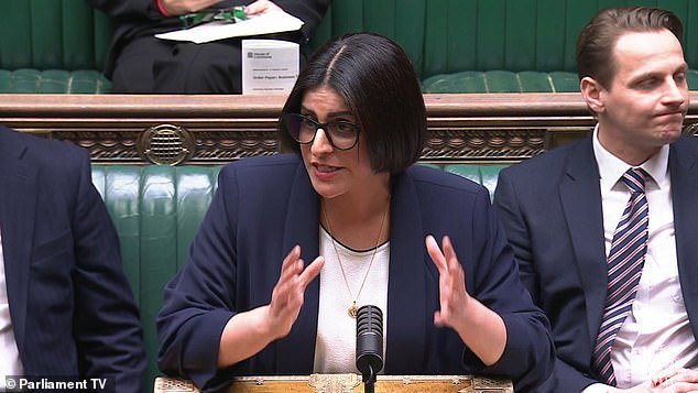 El Ministerio del Interior criticó las preocupaciones sobre los controles y la falta de consulta pública a medida que los inmigrantes se trasladaban de los hoteles a las zonas rurales.