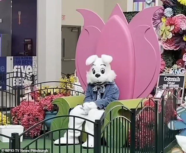 Horror: Hombre acusado de manosear a un conejito de Pascua en un centro comercial antes de preguntarle si era “niño o niña”