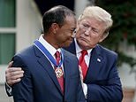 Tiger Woods ‘llama a Donald Trump después del accidente’ mientras el arresto por conducir bajo los efectos del alcohol de la leyenda del golf da un giro impactante