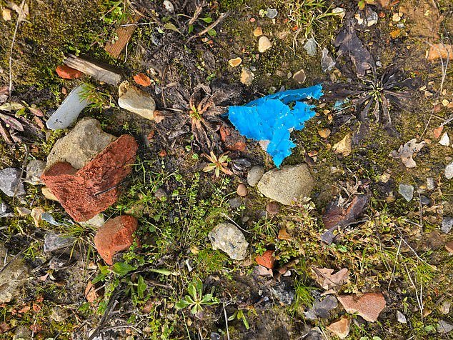 El antiguo club de polo del príncipe Harry se enfrenta a una controversia por la contaminación tras comprar terrenos contaminados llenos de plástico y ladrillos.