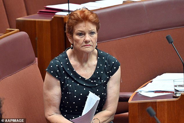 Pauline Hanson pide grandes cambios en el NDIS después de que los fondos de discapacidad se utilizaran para pagar medicamentos, vacaciones y automóviles.