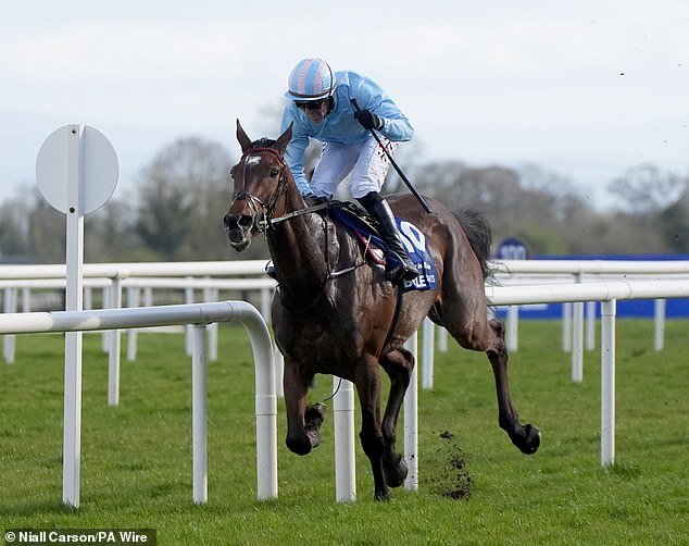 ¡Las casas de apuestas reciben una paliza! Se están lamiendo las heridas tras el resultado de “pesadilla” en el Irish Grand National… apenas cinco días antes del torneo de exhibición en Aintree.