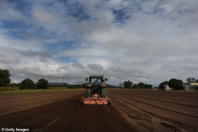 Australia obtiene una gran victoria después de que China congela exportaciones vitales al país: “Necesitamos amigos”