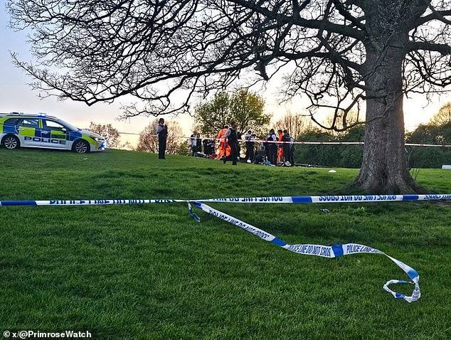 Un hombre de 21 años ha muerto y otro es trasladado al hospital tras una pelea en Primrose Hill de Londres “mientras la multitud tomaba el sol”: se inicia una investigación por asesinato y una persecución