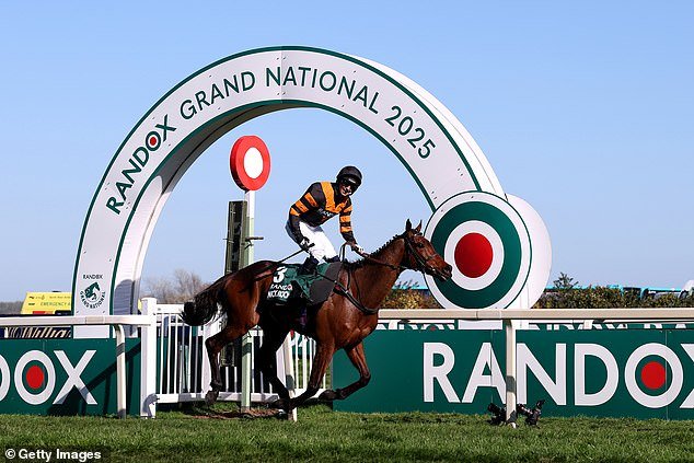Cómo NO apostar en el Grand National: por qué probablemente no valga la pena elegir un caballo que lleve su nombre o el de un familiar