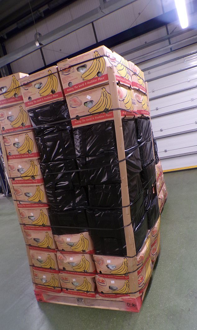 Se encontró cocaína valorada en £256 millones y “más pesada que un rinoceronte adulto” en cajas de plátanos en una de las mayores capturas jamás realizadas en Gran Bretaña.