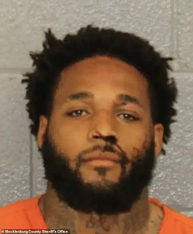 Un caballo asustado es atropellado por un coche después de que unos viles hermanos gemelos montaran animales en el centro de la ciudad y les hicieran “trucos” crueles