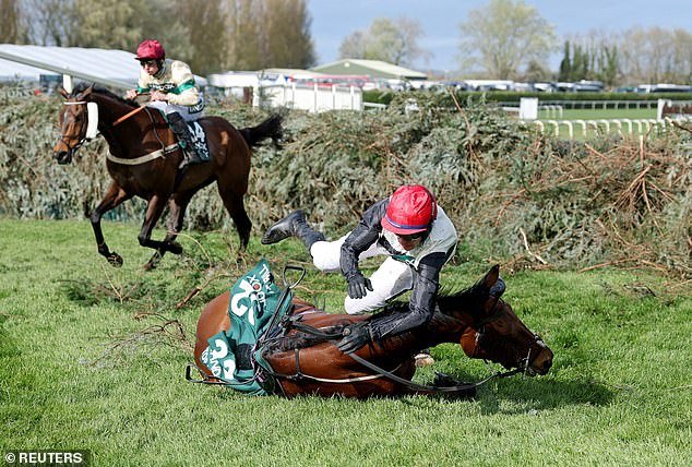 El jockey del Grand National está PROHIBIDO por no permitir que su cansado caballo se detuviera antes de caer en la valla final, mientras llevaba el pelo de Red Rum en sus guantes para su legendario abuelo.