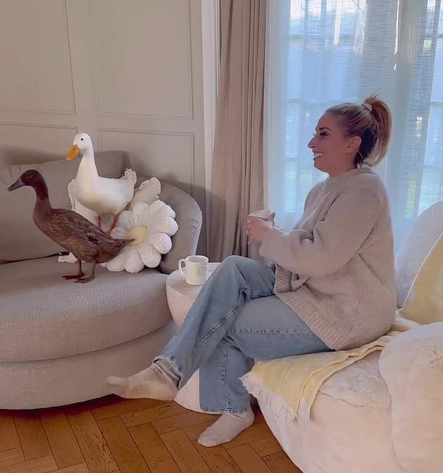 Por qué un pato como mascota se ha convertido en un accesorio animal esencial para los ricos y famosos