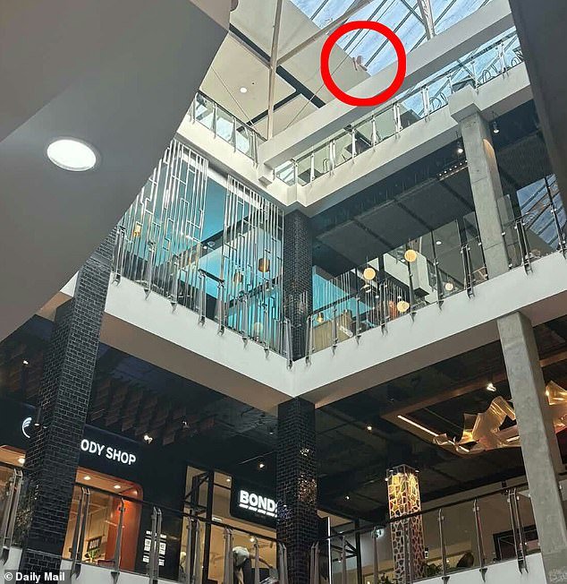 Los equipos de rescate se apresuran hacia el centro comercial Broadway mientras una gran zona está acordonada