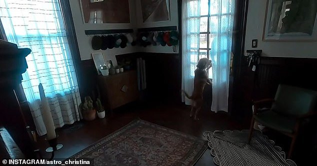 Momento adorable: el miembro de la tripulación de Artemis regresa a casa con un perro MUY feliz