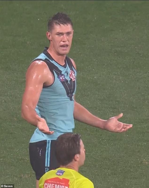 Revelado: la teoría de la conspiración de los fanáticos del fútbol sobre el árbitro de la AFL que acusó a Star de llamarlo tramposo