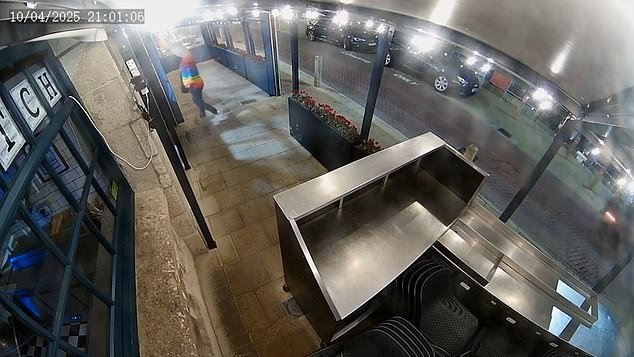 Momento en el que un activista por los derechos de los animales “libera” langosta viva de un restaurante y la libera en el puerto después de creer erróneamente que estaba destinada al consumo.