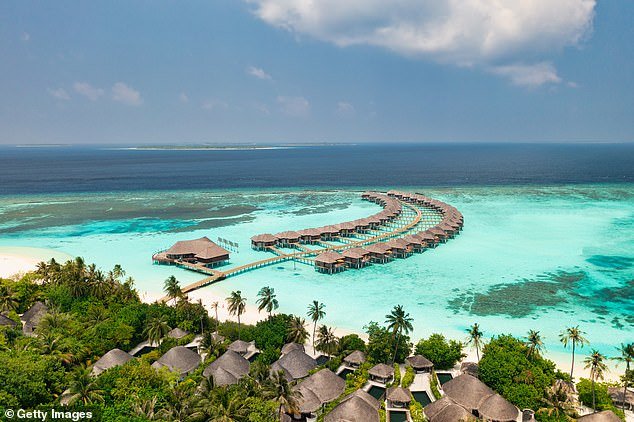 Ataque de tiburón en luna de miel: recién casado lucha por su vida y le amputan una pierna durante sus vacaciones en Maldivas