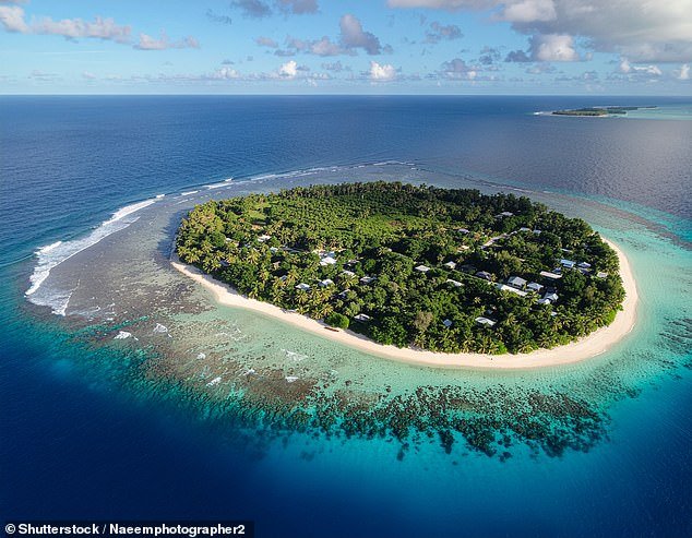 La devastada esposa del recién casado víctima del ataque de un tiburón acusó a las compañías de viajes en las Maldivas de “negligencia grave” después de que él tuviera que luchar por su vida con una pierna amputada en un ataque cerca de una planta procesadora de pescado.