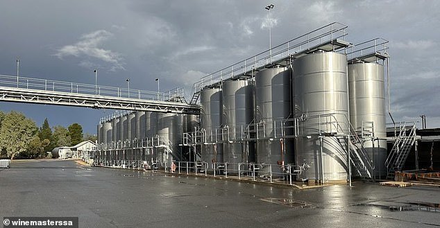 La alguna vez próspera industria vitivinícola de Australia ahora está en ruinas. Y los culpables son los bebedores “buenos y dos zapatos” de la Generación Z, dice un destacado criador