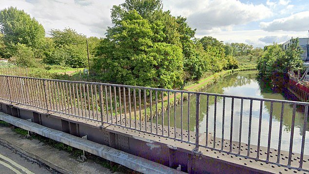 La madre de 34 años y su hijo de siete murieron en un “trágico accidente” tras quedar anegados en un parque en el oeste de Londres, dijo la policía.