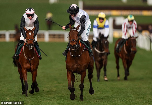 JANE MANGAN: Kopek tiene la oportunidad de demostrar su condición de superestrella el tercer día en Punchestown, ya que este viejo incondicional puede retroceder en el tiempo con una victoria en el Stayers’ Hurdle.