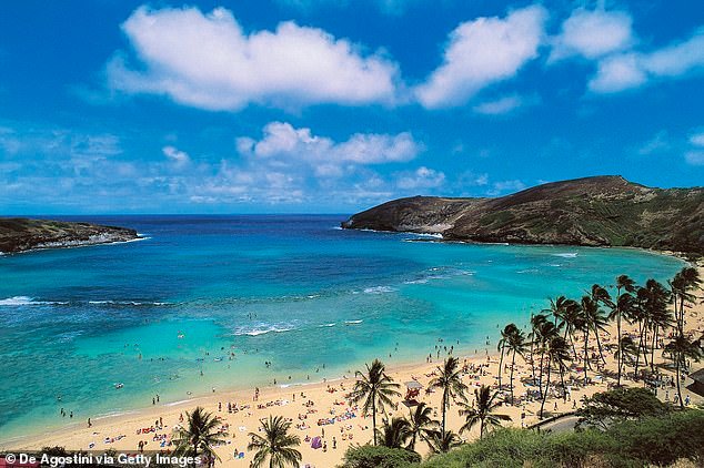 Una mujer de 66 años del Área de la Bahía muere mientras practicaba snorkel durante un viaje a la paradisíaca isla de Hawaii
