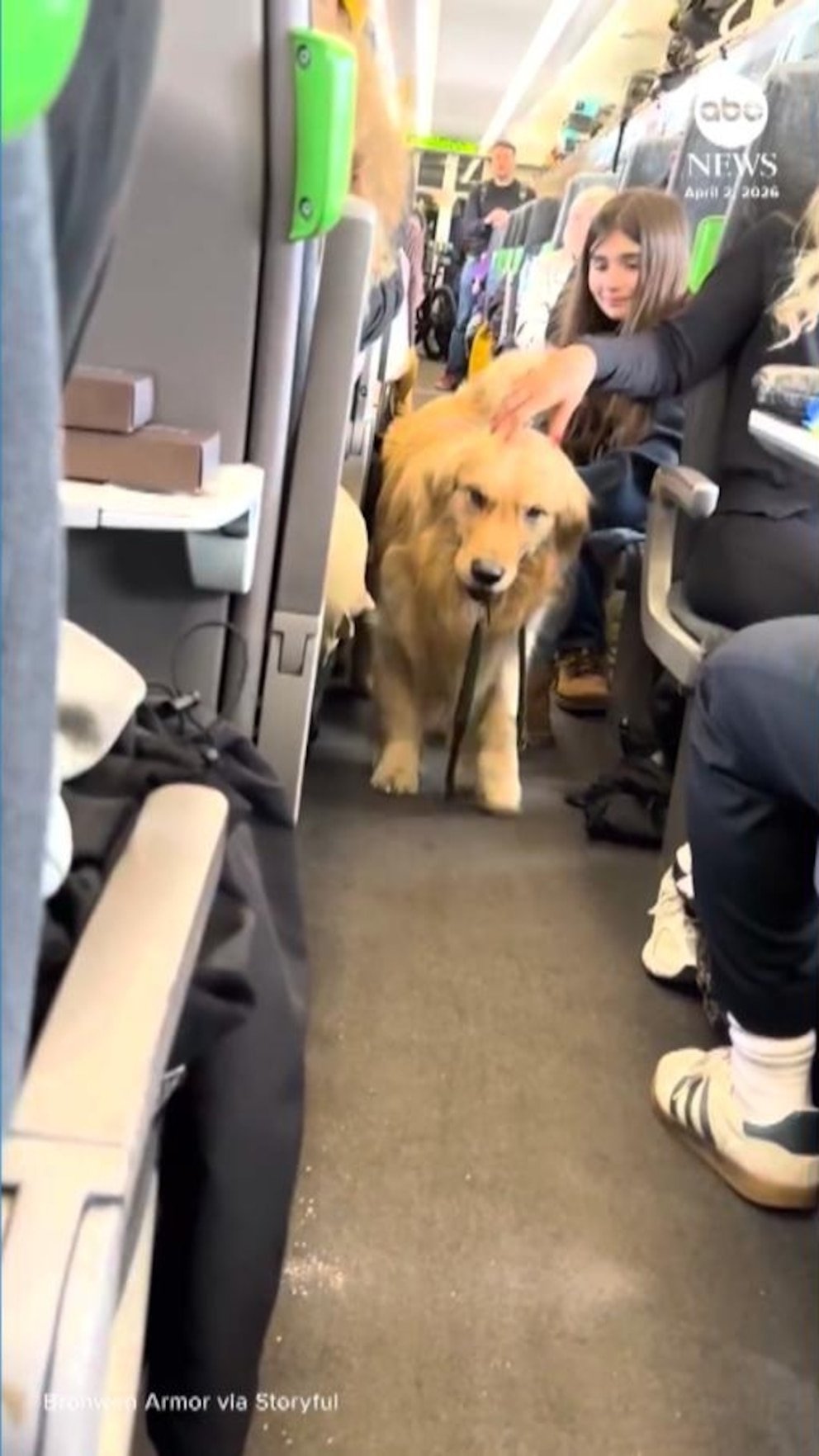 MIRAR: Golden Retriever facilita los estresantes viajes en tren a los viajeros británicos