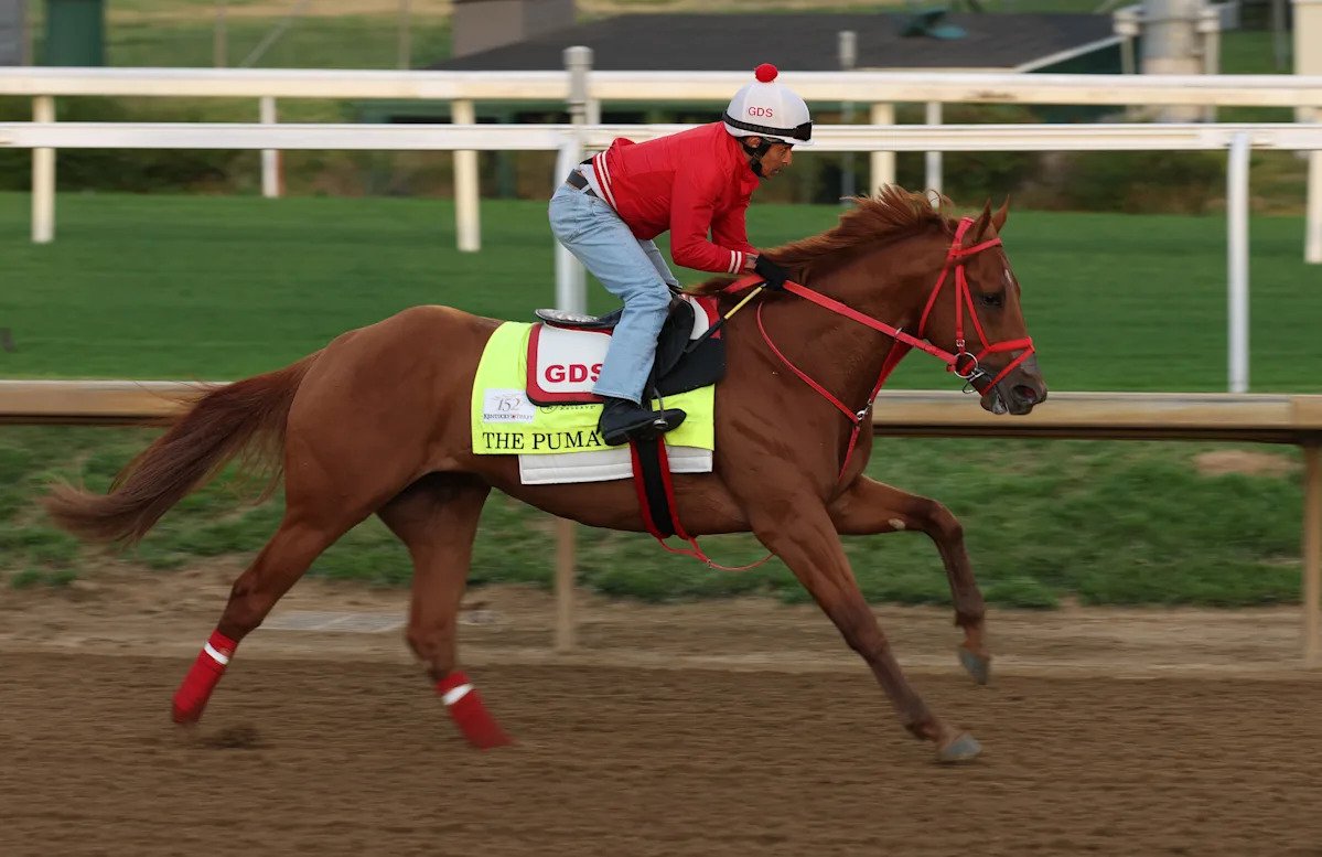 Números de caballos, probabilidades y campo actualizado para el Derby de Kentucky de 2026: todo lo que necesita saber para el evento más importante de las carreras