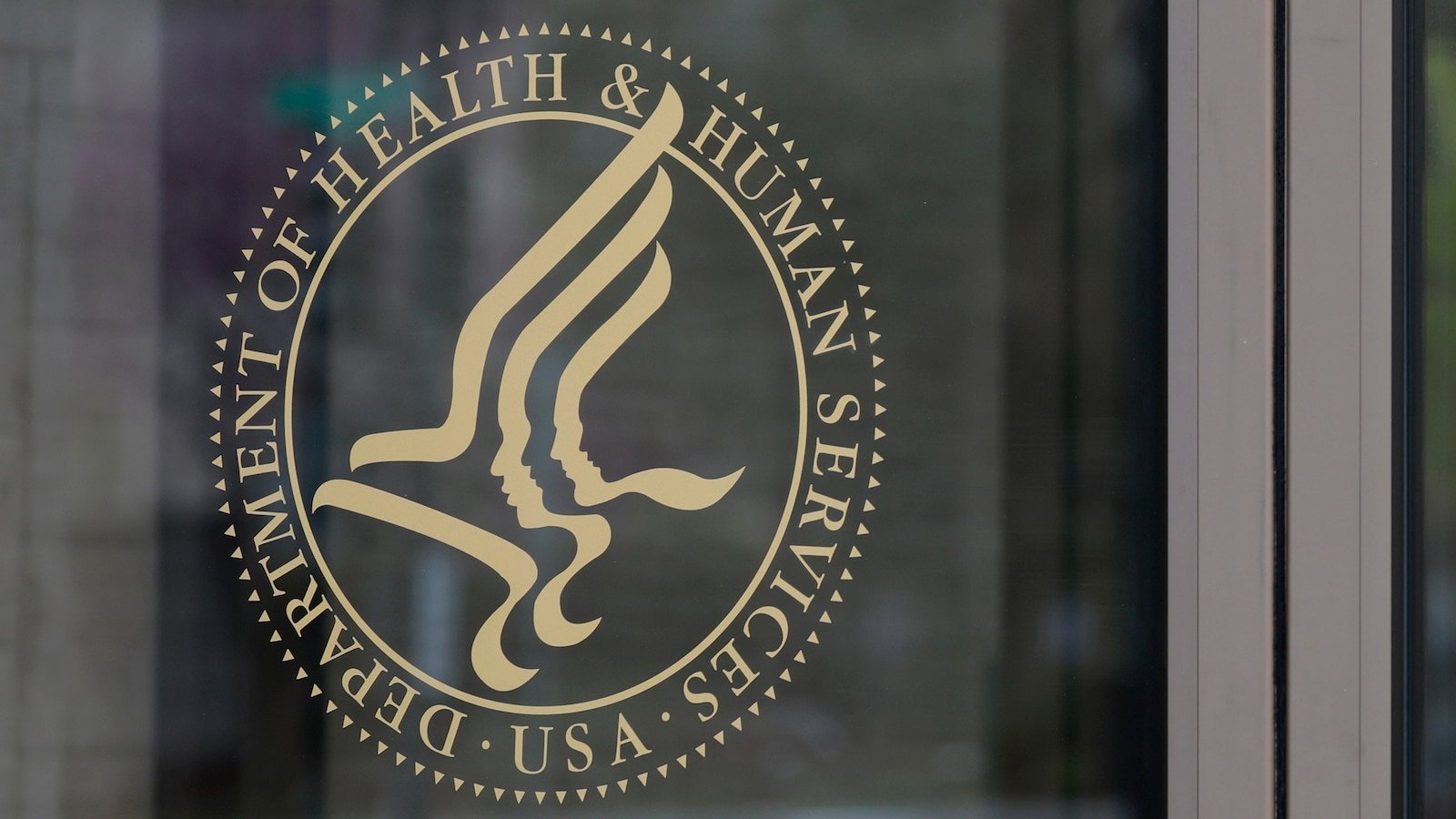 Una niña migrante fue abusada sexualmente mientras su padre solicitaba su liberación, dice un abogado