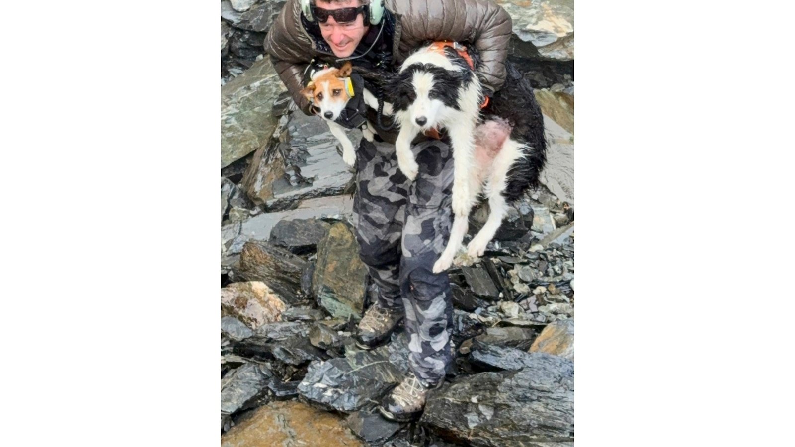 El perro de un excursionista perdido en el bosque, rescatado en helicóptero por desconocidos tras buscar dinero