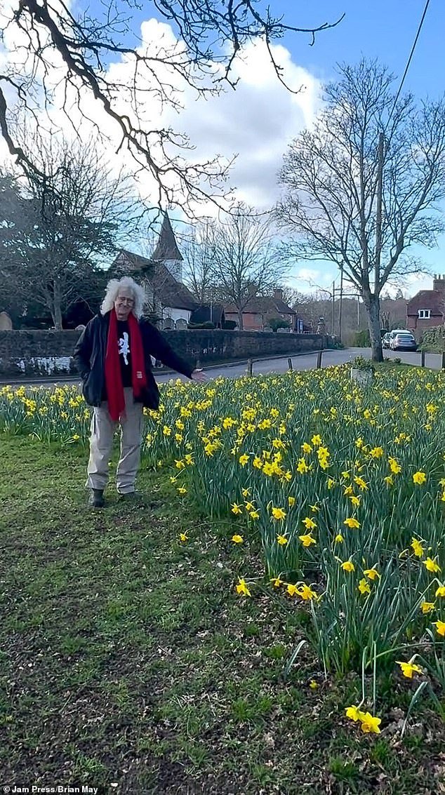 ¡Te estamos bloqueando! El plan de la estrella de Queen Brian May de plantar miles de narcisos es frustrado por concejales ‘aguafiestas’