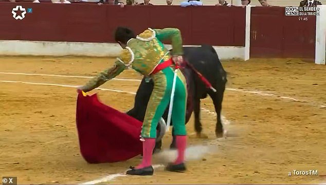 Un destacado matador es corneado en la ingle y gravemente herido mientras la multitud retrocede horrorizada en una corrida de toros en España.