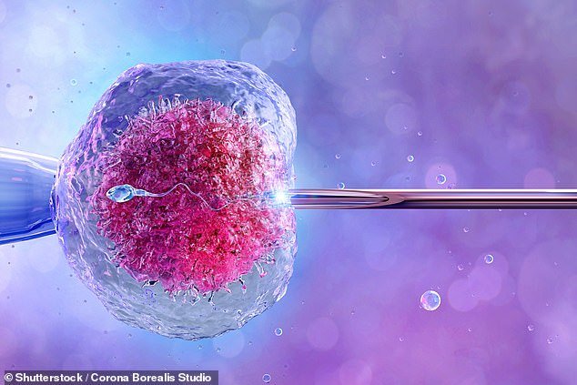 Un hombre infértil al que se le realizó el primer implante de tejido testicular congelado del mundo ahora espera formar una familia