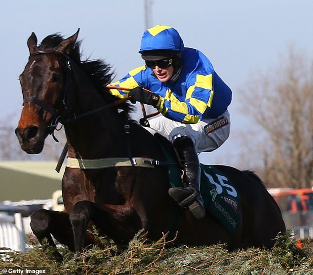El legendario caballo Grand National Auroras Encore, que ganó la carrera más famosa del mundo por 66-1, falleció a los 23 años