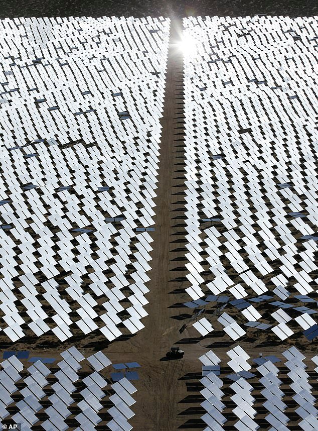 Los reguladores permitieron que una planta de energía solar de 2.200 millones de dólares respaldada por Obama ‘quemara y matara miles de aves con impunidad’