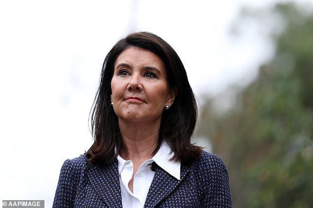 El parlamentario liberal responde con un golpe apenas velado a la exlíder Sussan Ley tras el desastroso resultado de las elecciones parciales