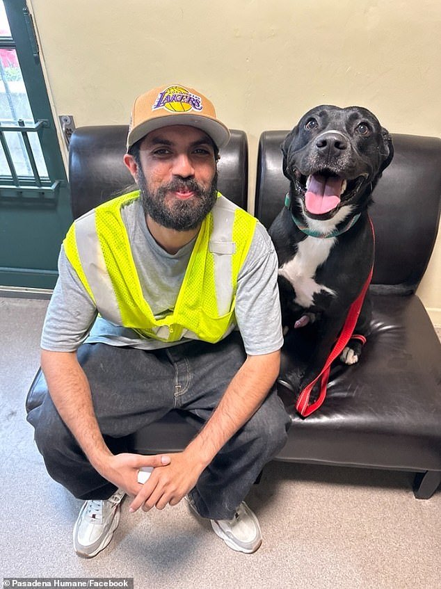 Adorable cachorro se reencuentra con su dueño 15 meses después de que su casa se incendiara en los incendios forestales de Los Ángeles