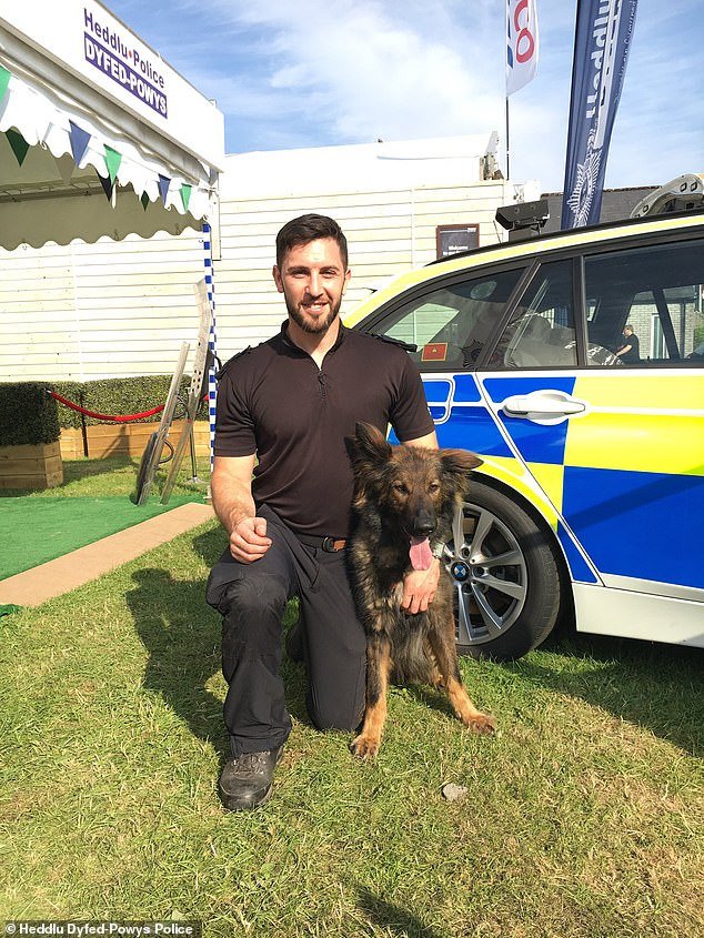 El adiestrador de perros policía atrapado intentando importar setas mágicas después de que sus propios colegas llevaron a cabo una investigación encubierta será suspendido de por vida