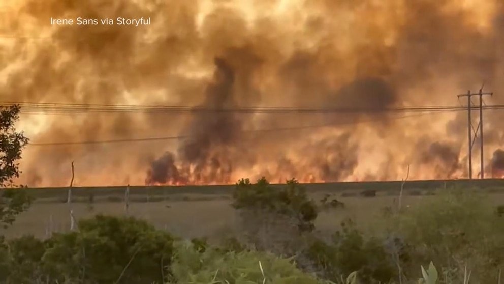 MIRAR: Los devastadores incendios forestales están quemando miles de acres en Florida